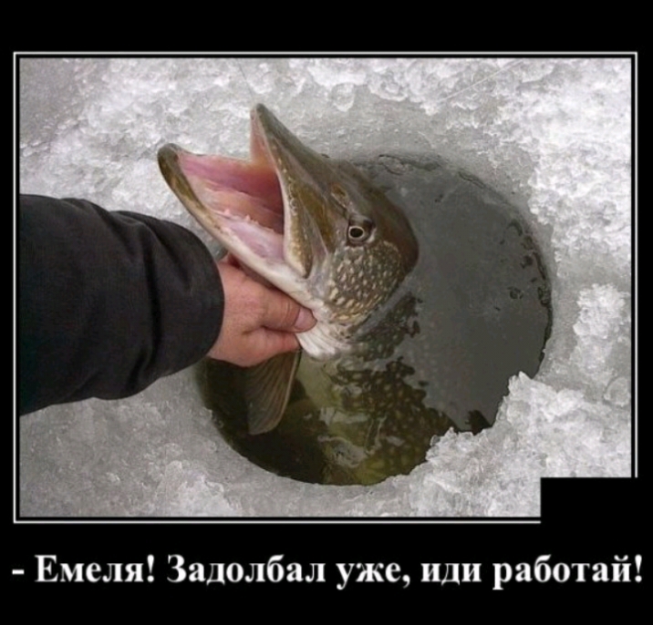Емеля Задолбал уже иди работай