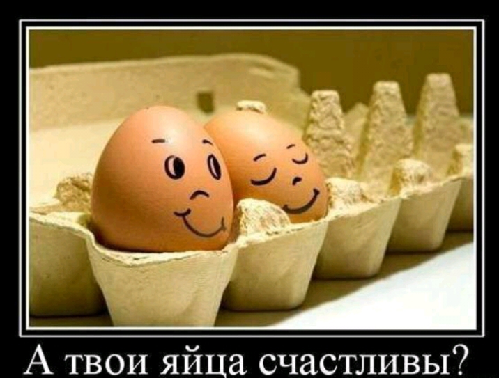 А твои яйца счастливы