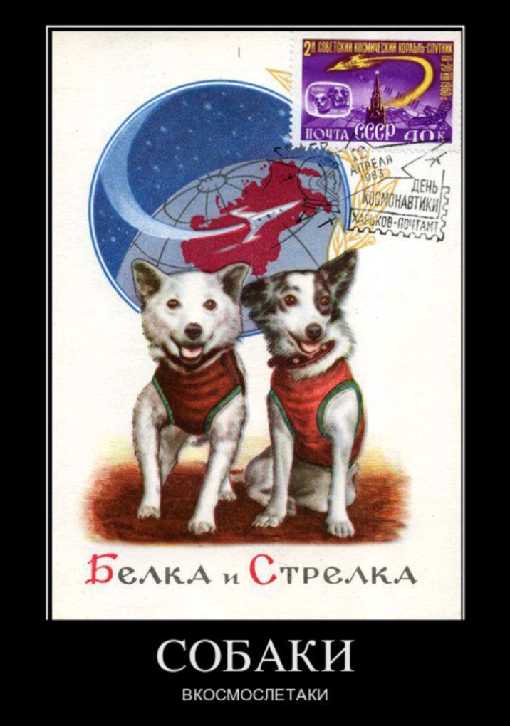 у пцгш 1 л п БСКУ СГРСК СОБАКИ ВКОСМОСПЕТАКИ