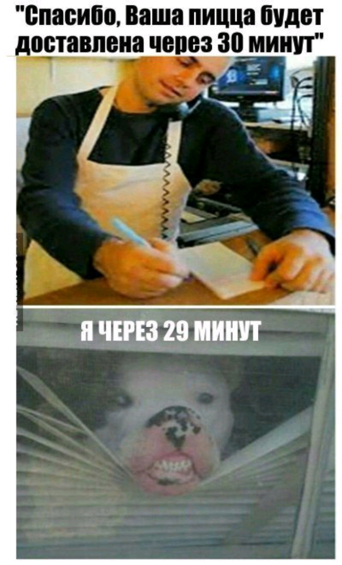 Впасипо Ваша пицца будет доставлена ЧЕШЭЗ 3 МИН чий 29 иинп