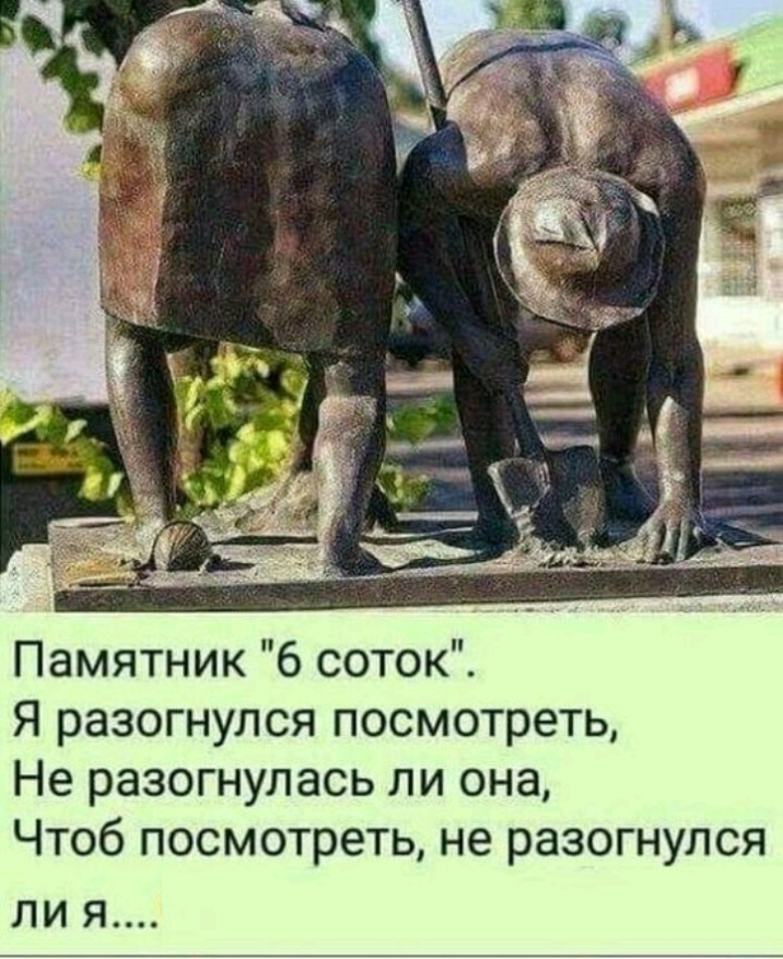 Памятник 6 соток Я разогнулся посмотреть Не разогнулась ли она Чтоб посмотреть не разогнулся ЛИ Я