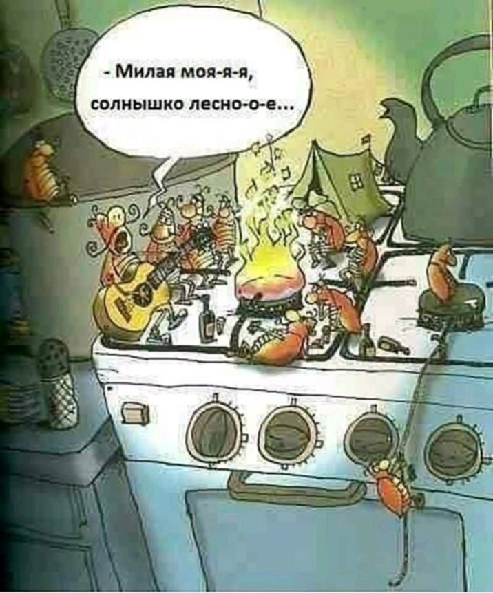 Милая моя яя СОЛНЫШКО лесно ое