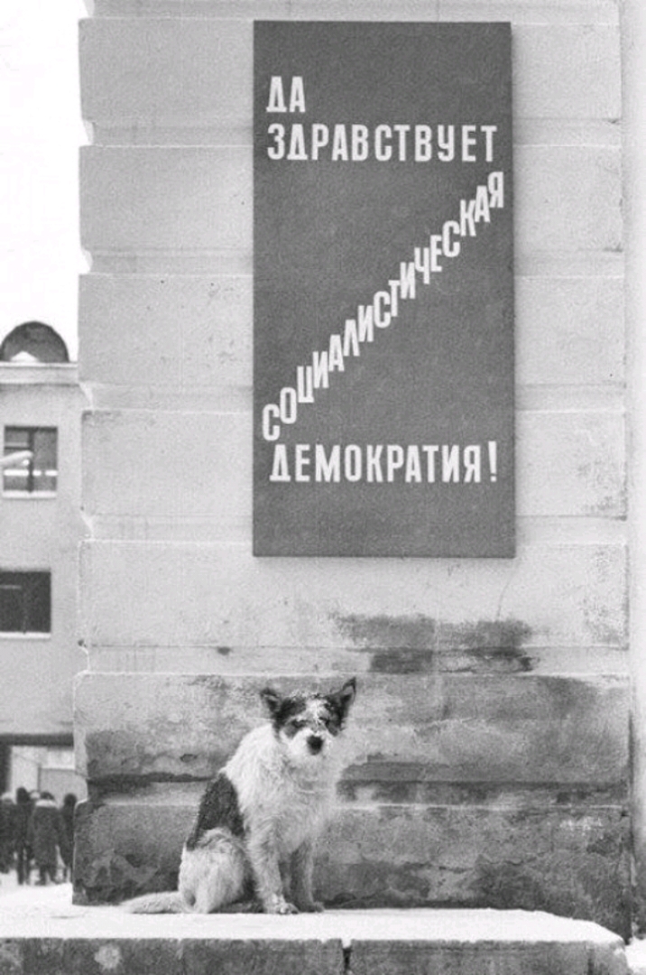 М ЗДРАВБТВЧЕТ