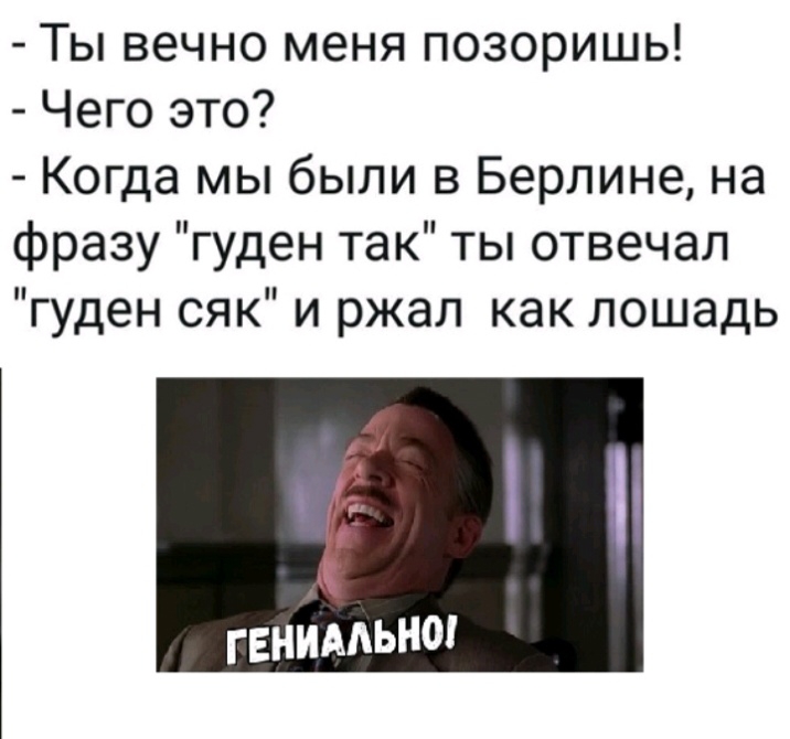 Ты вечно меня позоришь Чего это Когда мы были в Берлине на фразу гуден так ты отвечал гуден сяк и ржал как лошадь