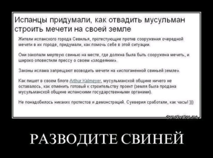 Испанцы придумали как отвадить мусульман строить мечети на своеи земле нг милы ц щ и мр пни ы _ ои ___ 1 к и ь п у _ц и и уч ыщз тыщщ ь гы __ и и м РАЗВОДИТЕ свинвй