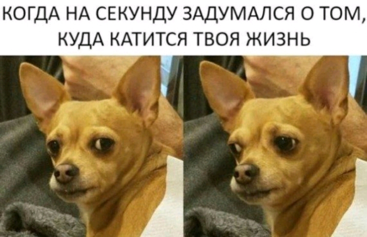 КОГДА НА СЕКУНДУ ЗАДУМАЛСЯ О ТОМ КУДА КАТИТСЯ ТВОЯ ЖИЗНЬ