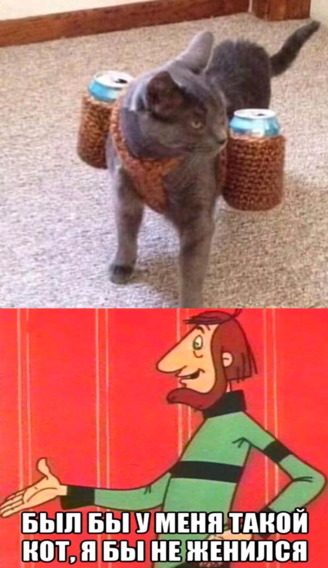 БЫЛ БЫ У МЕНЯ ТАШ К Я БЫ НЕ ЖЕНИПВЯ