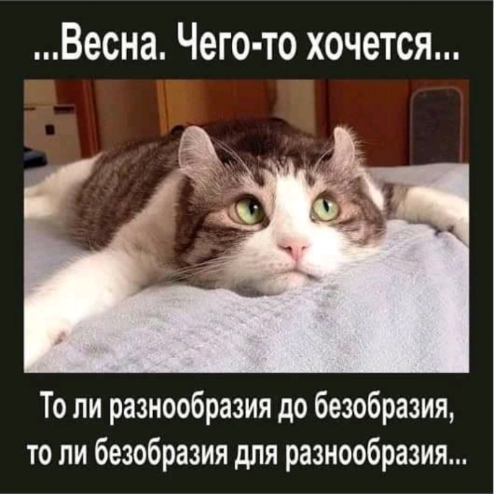Весна Чего то хочется То ли разнообразия до безобразия то ли безобразия для разнообразия