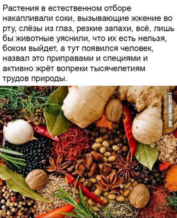 Растения в естественном отборе накапливали соки вызывающие жжение во рту слёзы из глаз резкие запахи всё лишь бы животные уяснипи что их есть нельзя бОКОМ ВЫЙДЭТ а ТУТ ПОЯВИПСЯ Человек назвал ЭТО приправами И специями И активно жрёт вопреки ТЫСЯЧЭЛЭТИЯМ трудов природы ЭИАОЭПОЭПОА _