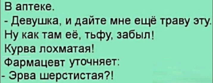 В аптеке девушка и дайте мне ещё траву эту Ну как там её тьфу забыт Курва лохматая Фармацевт уточняет Эрва шерстистая
