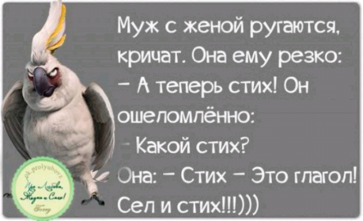Муж с женой ругаются кричат Она ему резко А теперь стих Он ошеломпённо Какой стих дна Стих Это гпагоп Сеп и стих