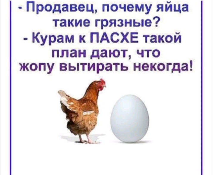 Продавец почему яйца такие грязные Курам к ПАСХЕ такой ПЛЗН дают ЧТО ЖОПУ вытирать НЭКОГДЗ _4