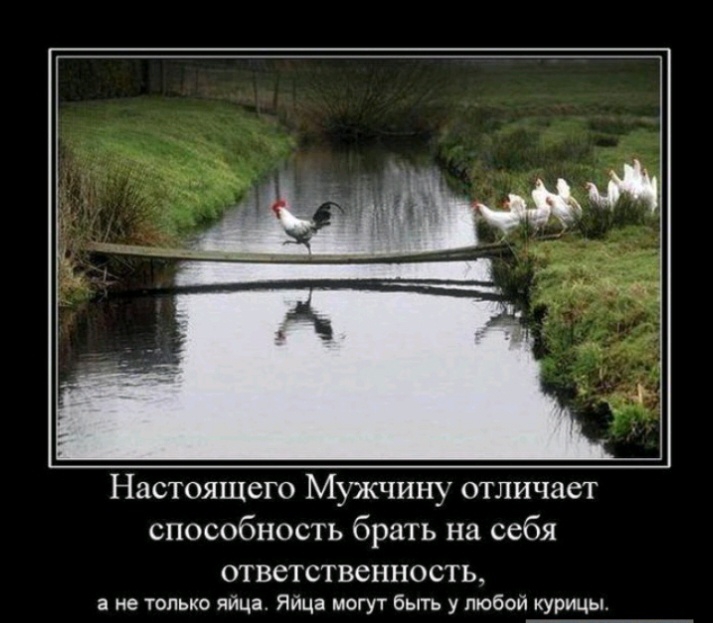Настоящего Мужчину отличает способность брать на себя ОТВСТСТВСННОСТЬ а не только яйца Яйца могут быть у любой курицы