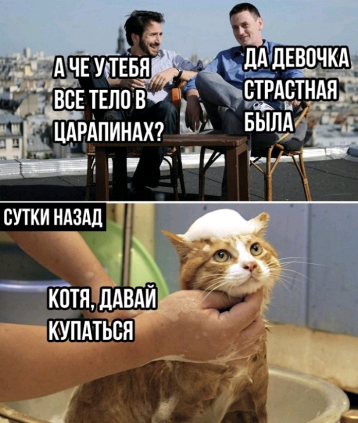 РАПИНАХ_ 7 в И Ю