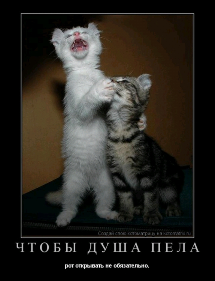 ЧТОБЫ ДУША ПЕЛА рог ие обшит ню