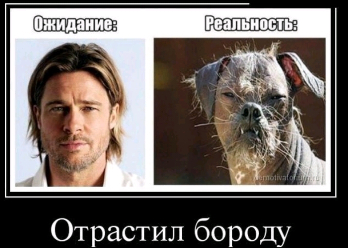 Отрастил бороду