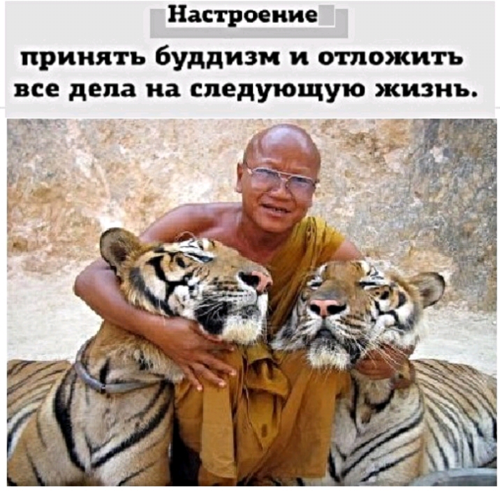 Настроение принять буддизм и отложить все дела СПЕДУОЩУО ЖИЗНЬ