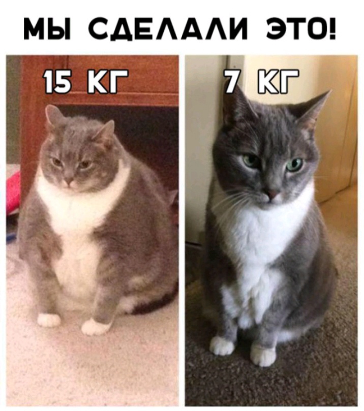 МЫ СДЕАААИ ЭТО