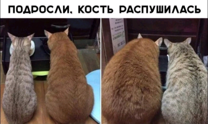 ПОДРОСАИ КОСТЬ РАСПУШИААСЬ