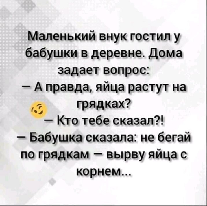 Маленький внук гостил у бабушки в деревне дома задает вопрос А правда яйца растут на грядках Кто тебе сказал Бабушка сказала не бегай по грядкам вырву яйца с корнем