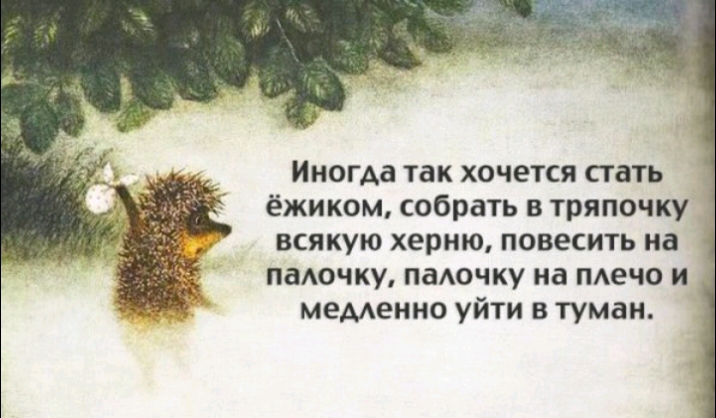 Иногда так хочется стать ёжиком собрать в тряпочку всякую херню повесить на паючку паючку на меча и меменно уйти в туман