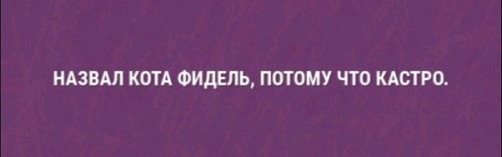 НАЗВАЛ КОТА ФИДЕЛЬ ПОТОМУ ЧТО КАСТРО