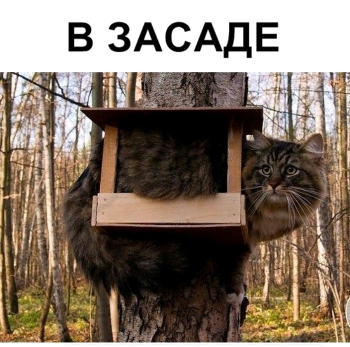 Е д А С А 3 В