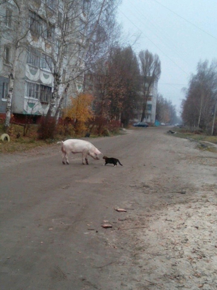Ь