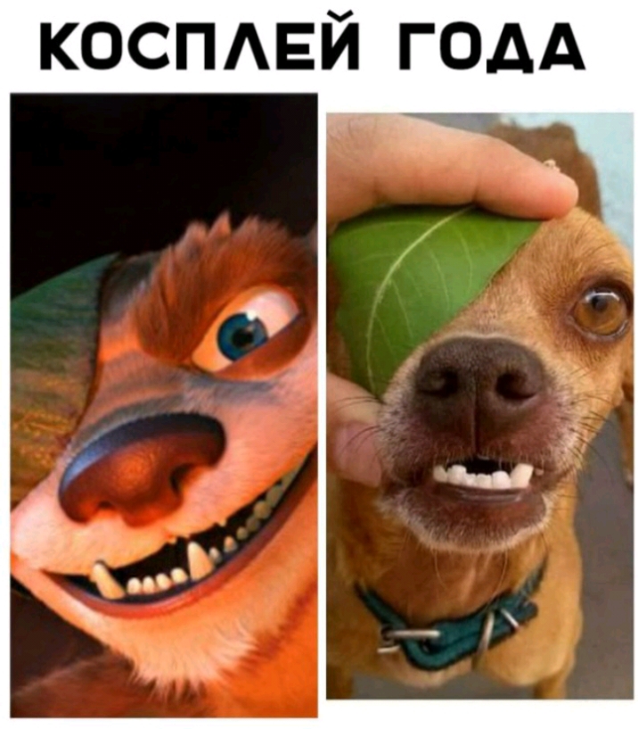 коспмзй годд