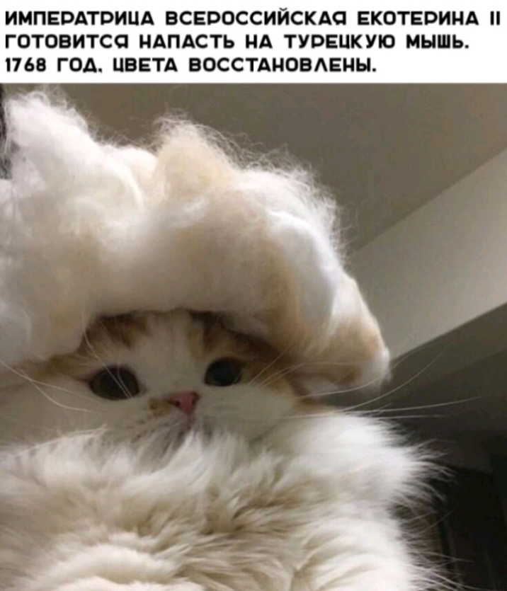 ИМПЕРАТВИЦА ВСЕВОССИЙСКАО ЕКОТЕВИНА ГОТОВИТСО НАПАСТЬ НА ТУРЕЦКУЮ МЫШЬ 1168 ГОА ЦВЕТА ВОССТАНОВАЕНН