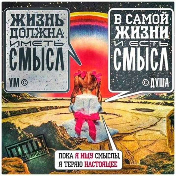 пом я ищв смыслы _ я шлю нжгпящин