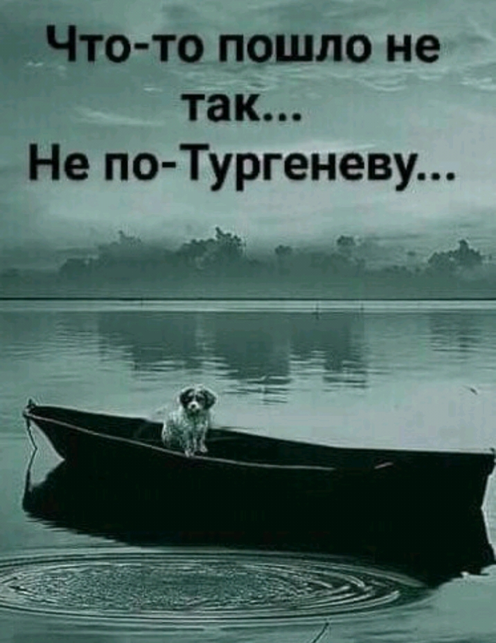 Что то пошло не так Не по Тургеневу