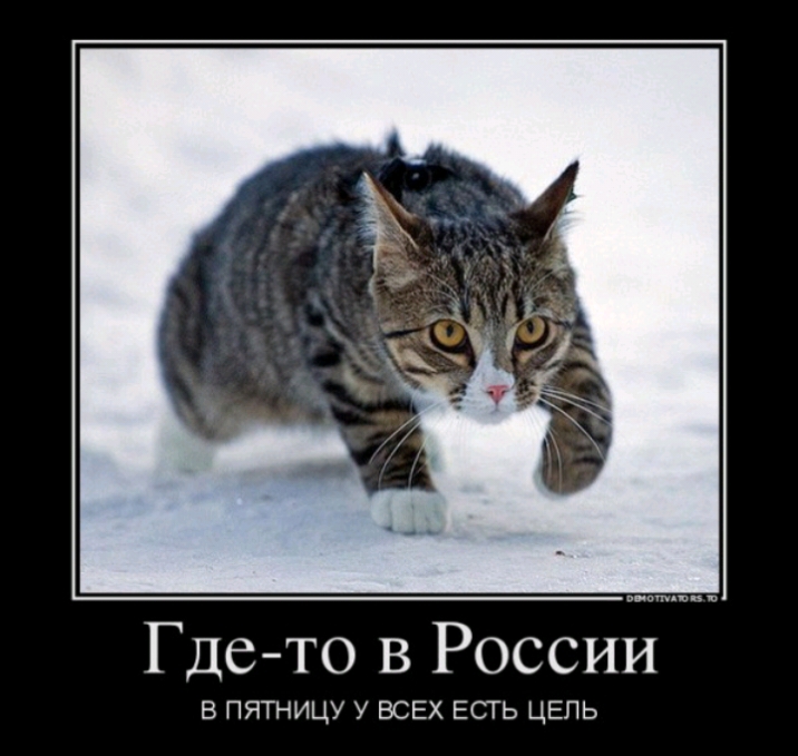 Где то в России в пятницу у ВСЕХ Есть ЦЕПЬ