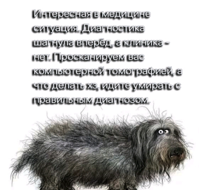 шас 13 687 шпътшч чеыт чюдшвшщщишищшьс шедшим 1