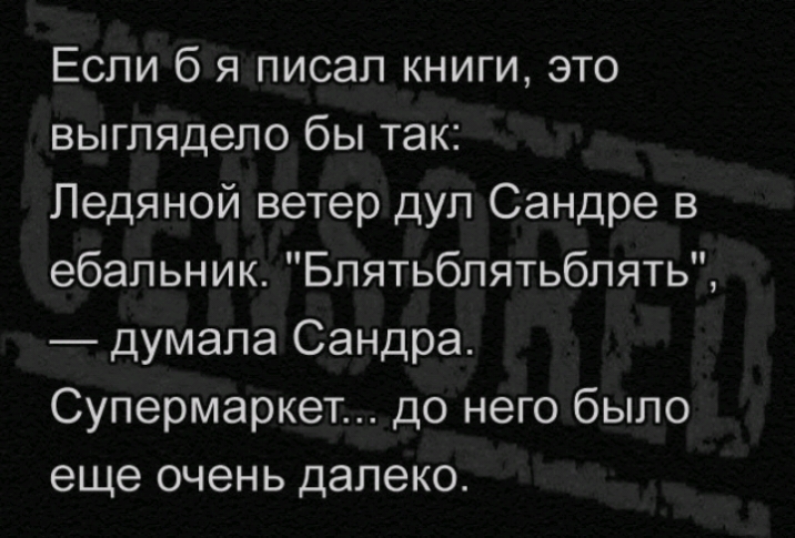 Если б я писал книги это выглядело бы так Ледяной ветер дул Сандре в ебальник Блятьблятьблять думала Сандра Супермаркет до него было еще очень далеко