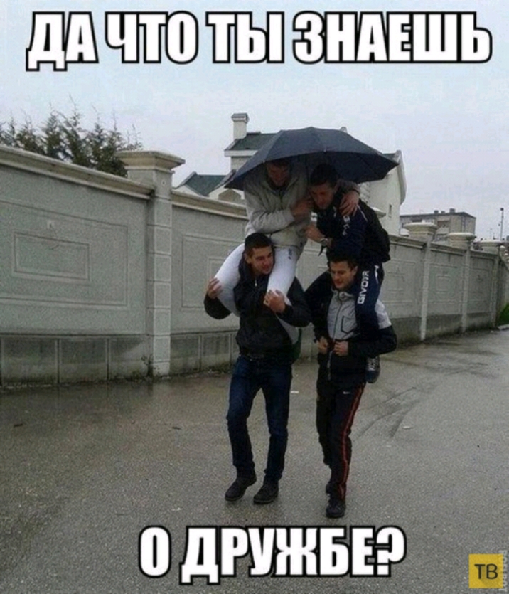 админы