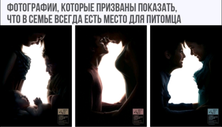 ФОТОГРАФИИ КПТПРЫЕ ПРИЗВДНЫ ПОКАЗАТЬ ЧТО В СЕМЬЕ ВСЕГДА ЕСТЬ МЕСТО ДЛЯ ПИТПМЦА Е 1