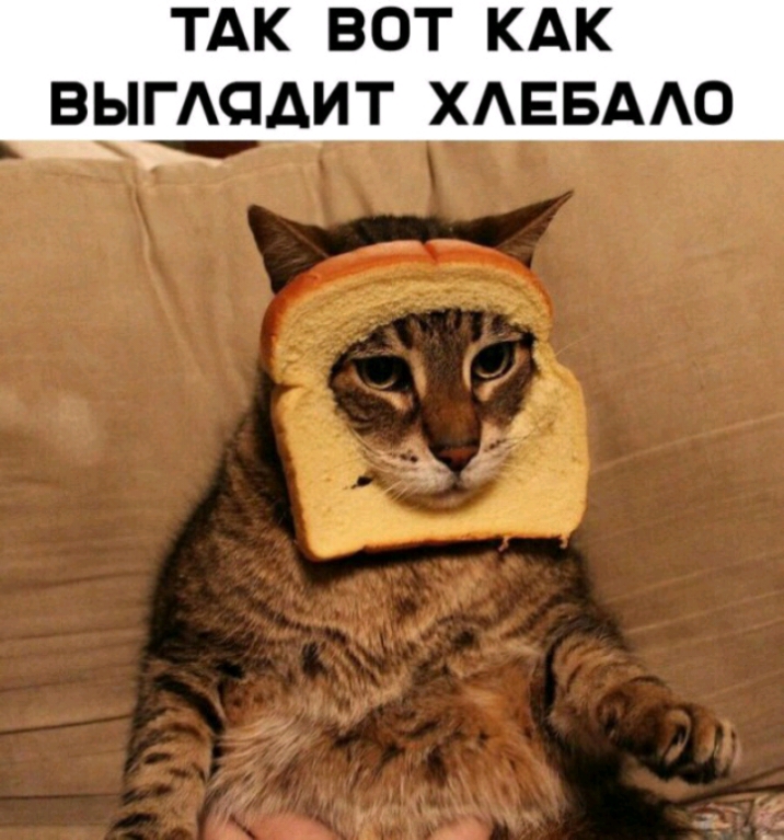 ТАК ВОТ КАК ВЫГАЦДИТ ХАЕБААО