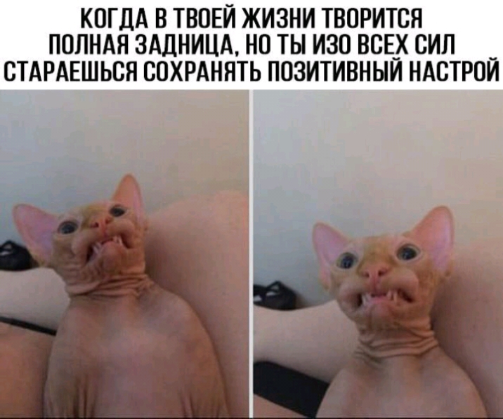 КОГДА В ТВОЕЙ ЖИЗНИ ТВОРИТСЯ ПОЛНАЯ ЗАДНИЦА НО ТЫ ИЗО ВОЕ_Х СИЛ _ ОТАРАЕШЬОН ООХРАННТЬ ПОЗИТИВНЫИ НАСТРОИ