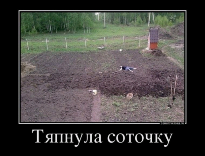Тяпнула соточку