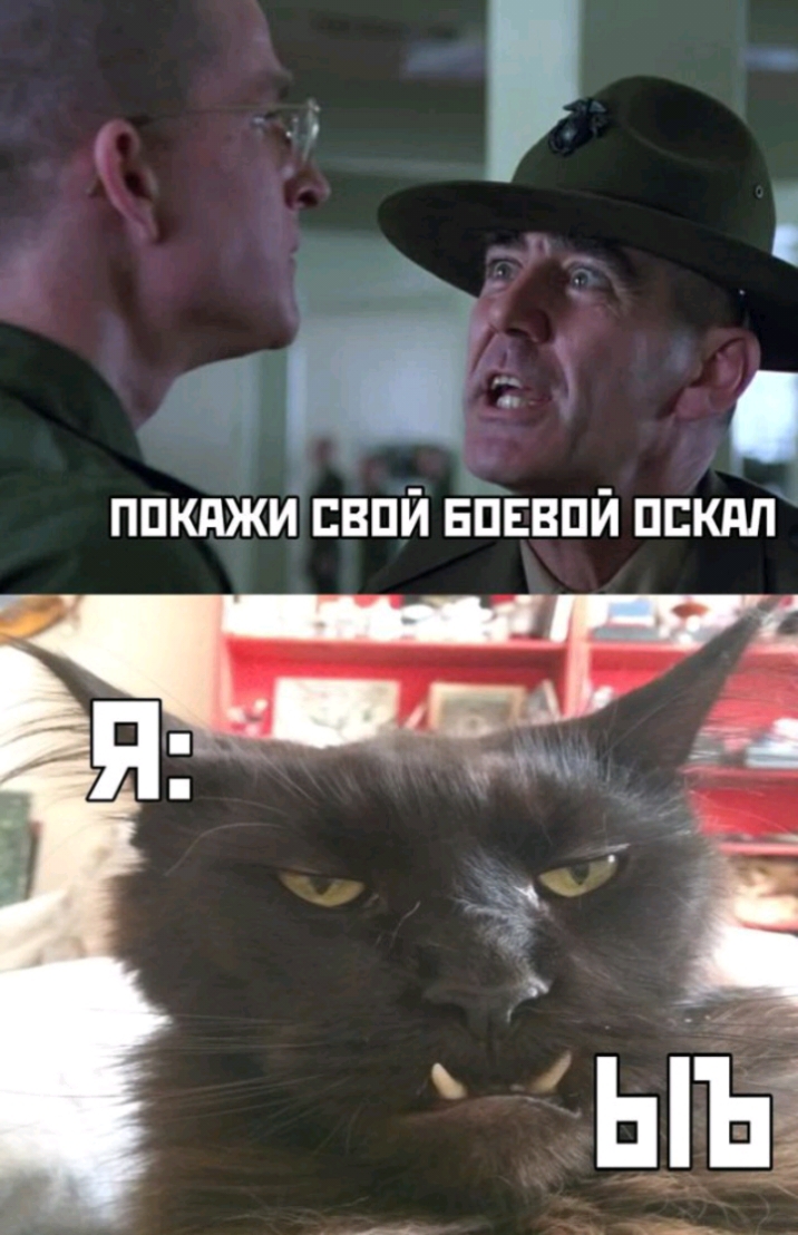 ъ 3 9 ппкджи свпй Ёпввпй пскдп