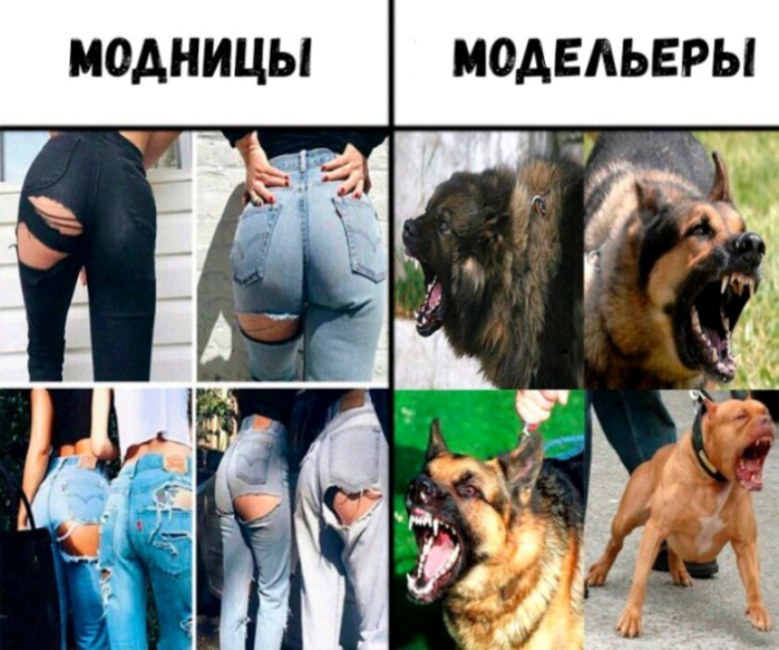 МОАНИЦЫ МОАЕАЬЕРЫ