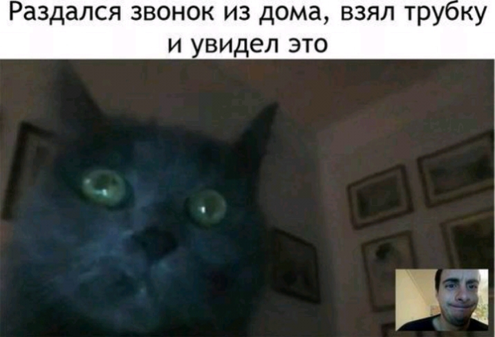 Раздался звонок из дома взял тру и увидел это
