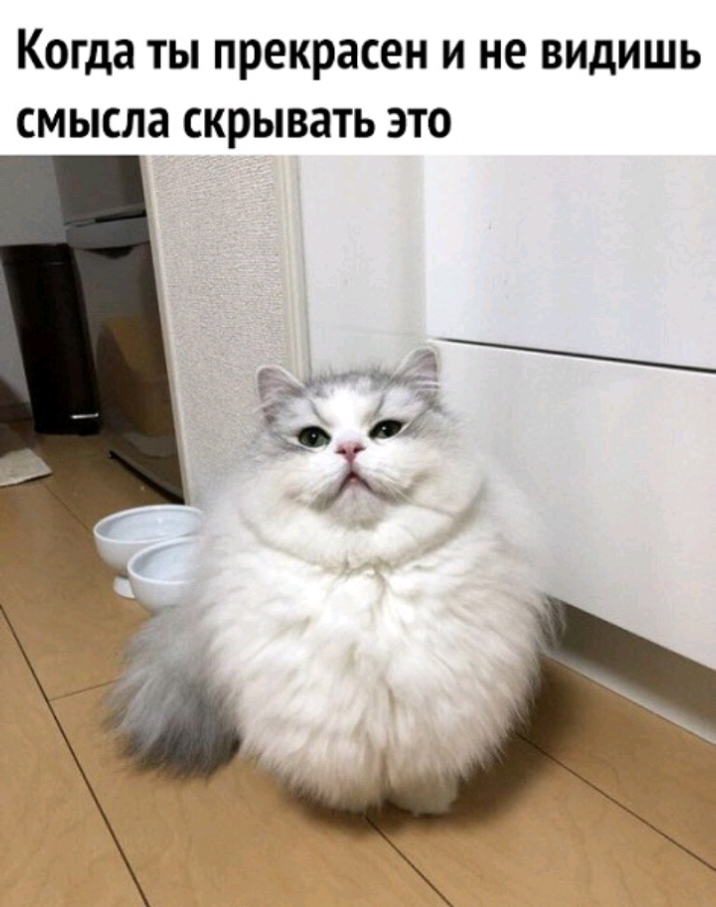 Когда ты прекрасен и не видишь смысла скрывать это