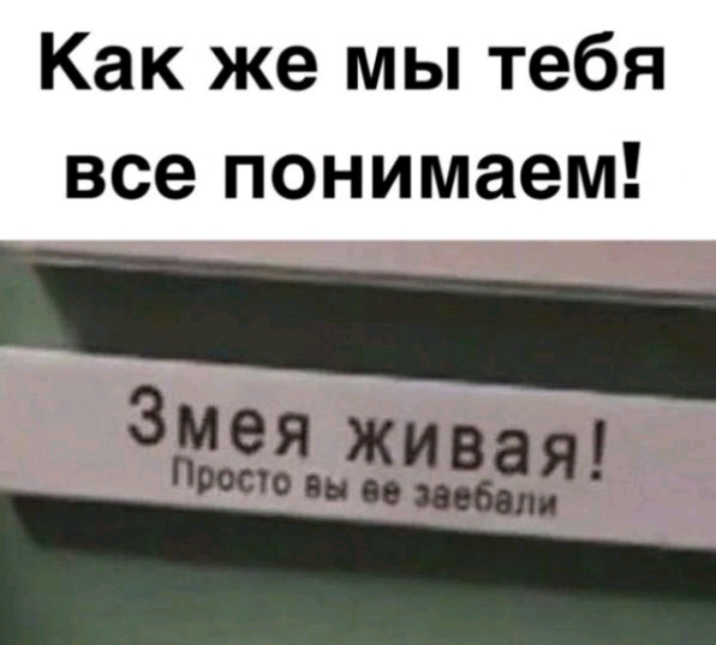 Как же мы тебя все понимаем