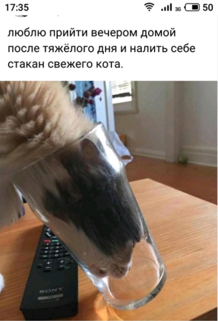 1735 5 за 50 люблю прийти вечером домой после тяжёлого дня и налить себе стакан свежего кота