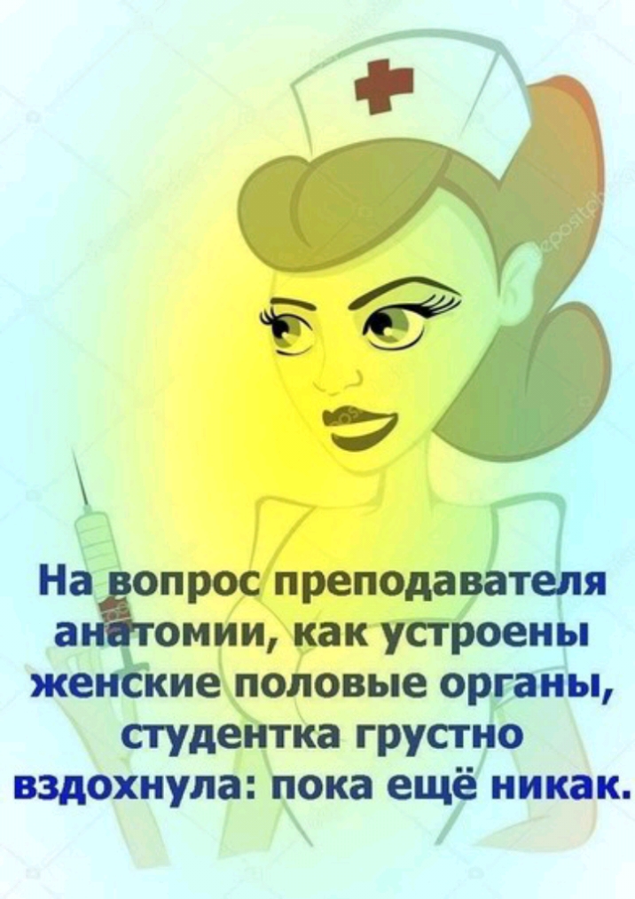 а омии как устроены же кие половые органы студентка грустно вздохнула пока еще никак НеЁпрос преподавёт