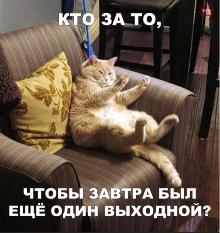 чтовьгА Был ЕЩЕ один выходнои 1