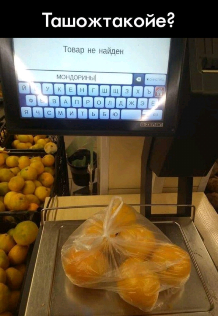 Ташожтакойег