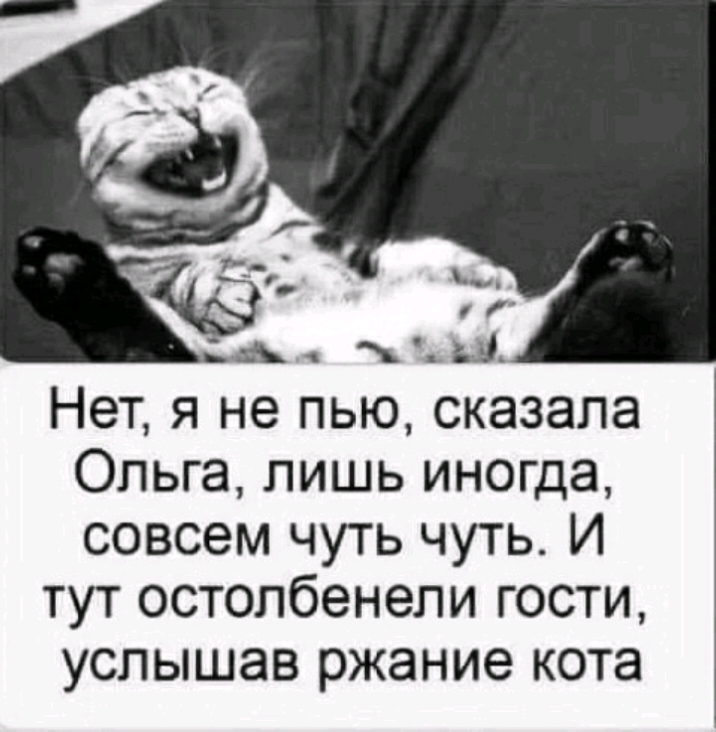 Нет я не пью сказала Ольга лишь иногда совсем чуть чуть И тут остолбенели гости услышав ржание кота